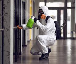 Why You Should Choose Our Mold Remediation Services in Placeholder8